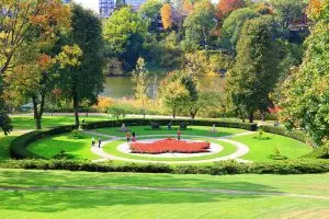 Aerial shot of High Park garden in Toronto